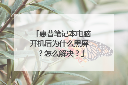 惠普笔记本电脑开机后为什么黑屏？怎么解决？
