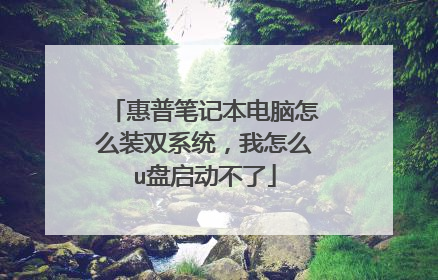 惠普笔记本电脑怎么装双系统，我怎么u盘启动不了