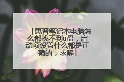 惠普笔记本电脑怎么都找不到u盘,启动项设置什么都是正确的,求解