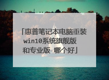 惠普笔记本电脑重装win10系统旗舰版和专业版 哪个好