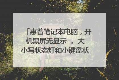 惠普笔记本电脑,开机黑屏无显示 , 大小写状态灯和小键盘状态灯会循环闪烁2次(间隔2秒).