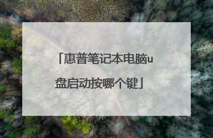 惠普笔记本电脑u盘启动按哪个键