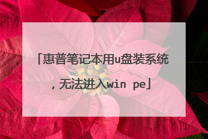惠普笔记本用u盘装系统,无法进入win pe