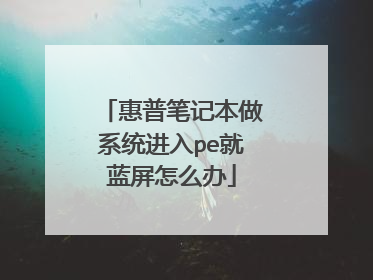 惠普笔记本做系统进入pe就蓝屏怎么办