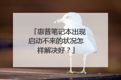 惠普笔记本出现启动不来的状况怎样解决好？