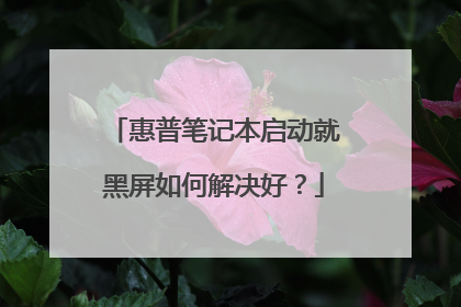 惠普笔记本启动就黑屏如何解决好？