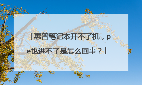 惠普笔记本开不了机，pe也进不了是怎么回事？