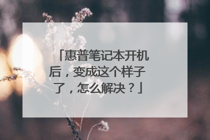 惠普笔记本开机后，变成这个样子了，怎么解决？