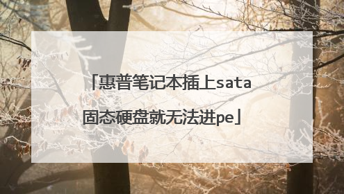 惠普笔记本插上sata固态硬盘就无法进pe