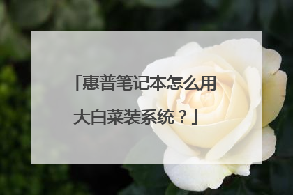 惠普笔记本怎么用大白菜装系统?