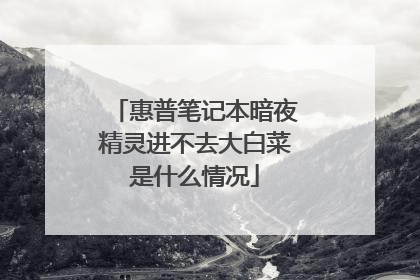 惠普笔记本暗夜精灵进不去大白菜是什么情况