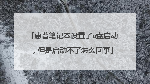 惠普笔记本设置了u盘启动，但是启动不了怎么回事