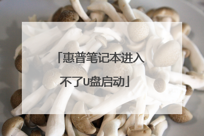 惠普笔记本进入不了U盘启动