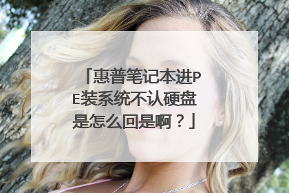惠普笔记本进PE装系统不认硬盘是怎么回是啊？