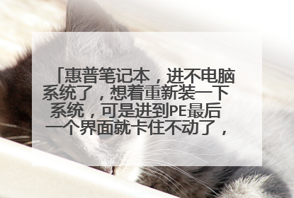 惠普笔记本,进不电脑系统了,想着重新装一下系统,可是进到PE最后一个界面就卡住不动了,求一大神帮忙