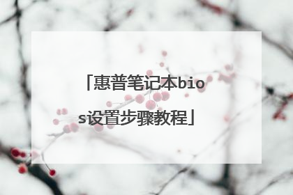 惠普笔记本bios设置步骤教程