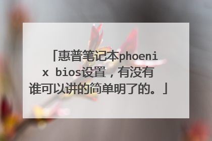 惠普笔记本phoenix bios设置,有没有谁可以讲的简单明了的。