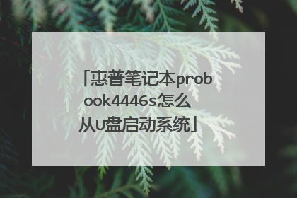 惠普笔记本probook4446s怎么从U盘启动系统