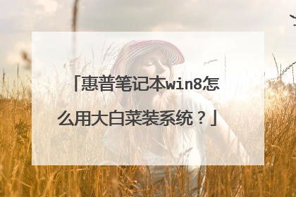 惠普笔记本win8怎么用大白菜装系统?