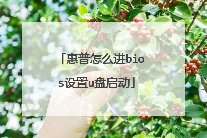 惠普怎么进bios设置u盘启动