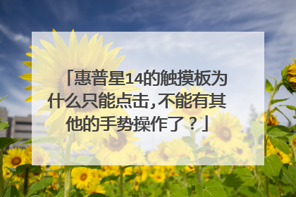 惠普星14的触摸板为什么只能点击,不能有其他的手势操作了?