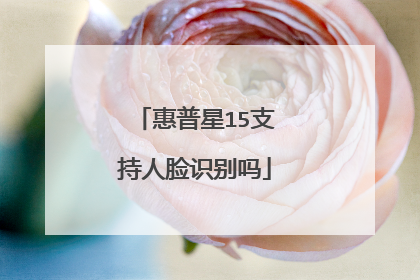 惠普星15支持人脸识别吗