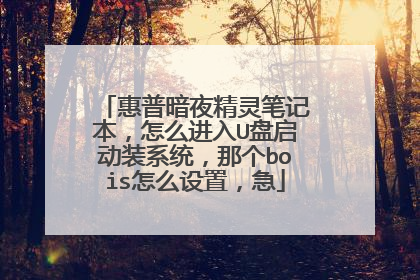 惠普暗夜精灵笔记本,怎么进入U盘启动装系统,那个bois怎么设置,急