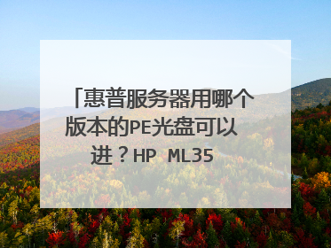 惠普服务器用哪个版本的PE光盘可以进?HP ML350型号。试过很多版本的GHOSTxp安装盘的PE系统都进不去,请教