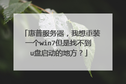 惠普服务器,我想重装一个win7但是找不到u盘启动的地方?