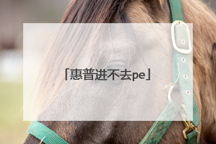 惠普进不去pe