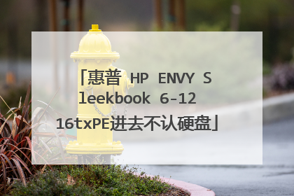 惠普 HP ENVY Sleekbook 6-1216txPE进去不认硬盘