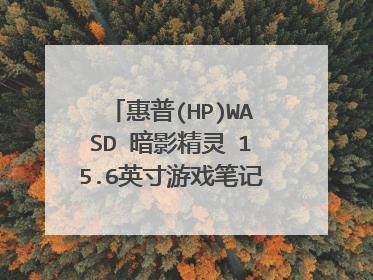 惠普(HP)WASD 暗影精灵 15.6英寸游戏笔记本电脑加内存和固态硬盘怎么加?