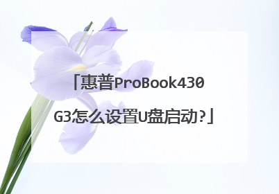 惠普ProBook430 G3怎么设置U盘启动?