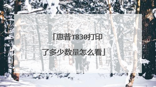 惠普T830打印了多少数量怎么看