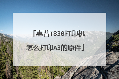 惠普T830打印机怎么打印A3的原件