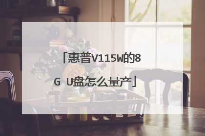 惠普V115W的8G U盘怎么量产