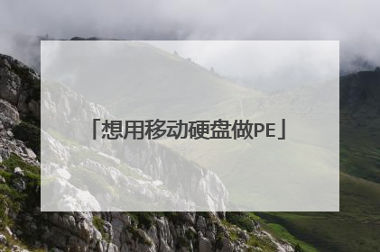 想用移动硬盘做PE