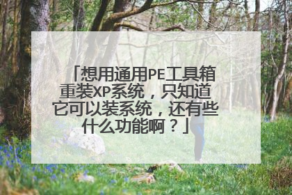 想用通用PE工具箱重装XP系统,只知道它可以装系统,还有些什么功能啊?