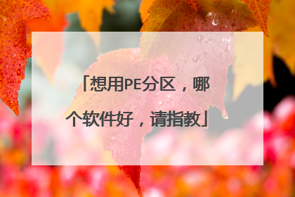想用PE分区，哪个软件好，请指教