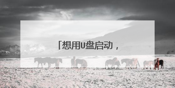 想用U盘启动，格式化为什么没有系统盘选项？