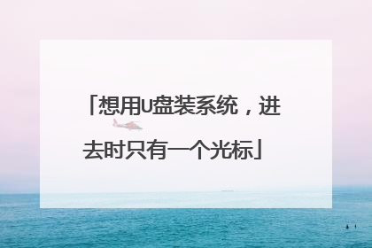 想用U盘装系统,进去时只有一个光标