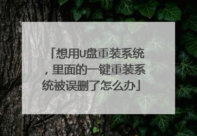 想用U盘重装系统,里面的一键重装系统被误删了怎么办