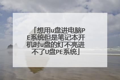 想用u盘进电脑PE系统但是笔记本开机时u盘的灯不亮进不了U盘PE系统