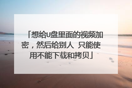 想给U盘里面的视频加密,然后给别人 只能使用不能下载和拷贝