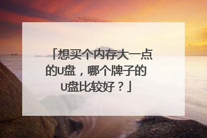 想买个内存大一点的U盘，哪个牌子的U盘比较好？
