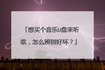 想买个音乐U盘来听歌,怎么辨别好坏?