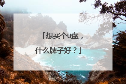 想买个U盘，什么牌子好？