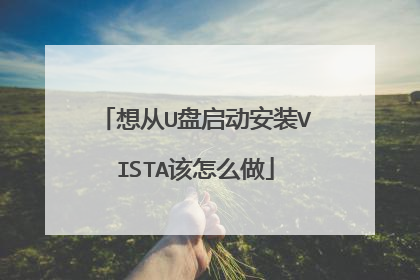 想从U盘启动安装VISTA该怎么做