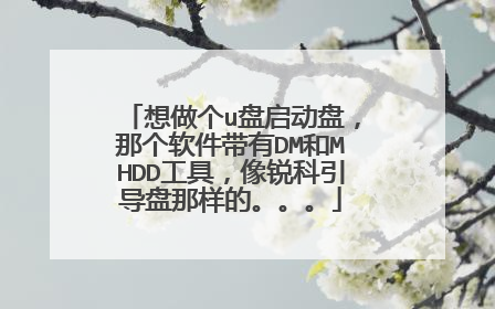 想做个u盘启动盘，那个软件带有DM和MHDD工具，像锐科引导盘那样的。。。