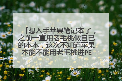 想入手苹果笔记本了，之前一直用老毛桃做自己的本本，这次不知道苹果本能不能用老毛桃进PE然后分区啊。